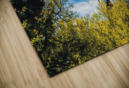 Cape Hatteras Lighthouse Norma Brandsberg Photography puzzle