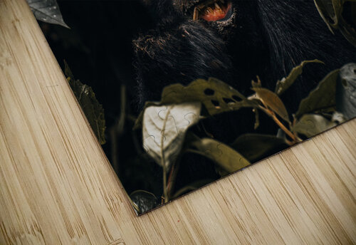 Wut Nate Solo puzzle