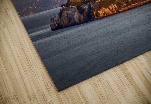 San Francisco Alcatraz Sunrise Birds Ryan Cameron puzzle