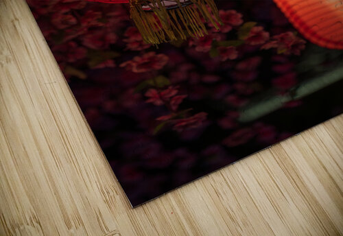 Red Chinese Lanterns and Blossom Tree at night 1. Philippe Lejeanvre puzzle