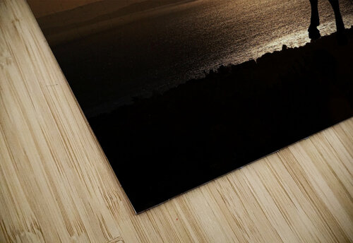 Majestic Freedom: Wild Horse at Sunset yucefgreen puzzle