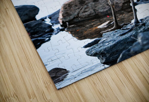 Dinner time  Mary Beth LaCroix puzzle