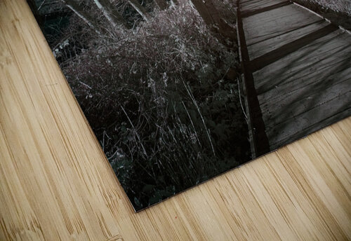 The Pathway CRB Images Photography puzzle