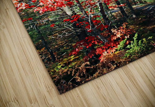 Colorful Fall Trail Deb Oppermann puzzle