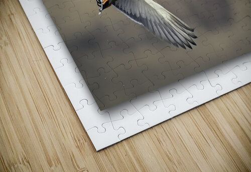 Life in Sync Moments By Shane puzzle