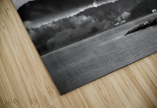 Esquimalt Lagoon Kevin MacTavish puzzle