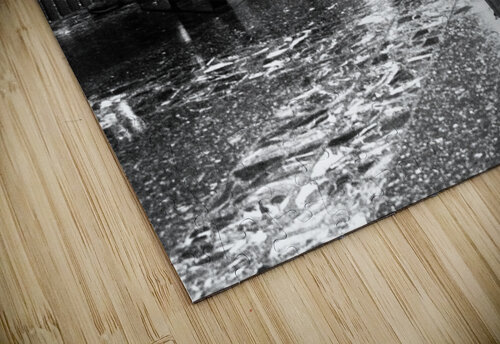 Everyday Lifes Moments- Waiting                                                                                                  Catriona Roberts Nature Photography and Designs puzzle