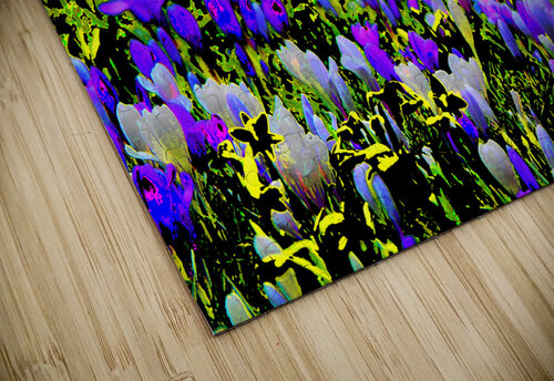   Abstract Vibrant Crocuses                                                    Catriona Roberts Nature Photography and Designs puzzle