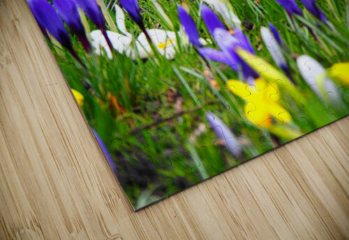 Spring Flower Meadow                                                                                                 Catriona Roberts Nature Photography and Designs puzzle