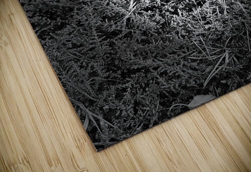 Scenes from the Trail- Resting  Catriona Roberts Nature Photography and Designs puzzle