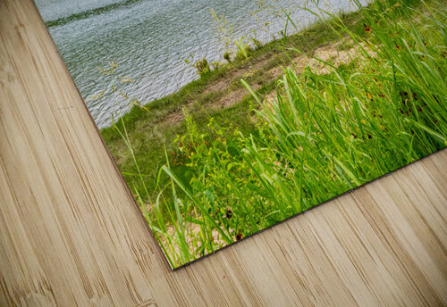 Hawk Over Little Golden Gate Jennifer White puzzle