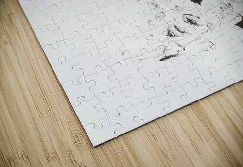 Daughter of the Sea Boris Nekrasov puzzle