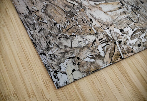 The Saga Boris Nekrasov puzzle