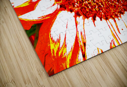 Abstract Vibrant Red Sunflower Catriona Roberts Nature Photography and Designs puzzle
