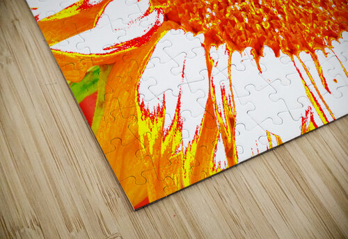 Abstract Orange Sunflower Catriona Roberts Nature Photography and Designs puzzle