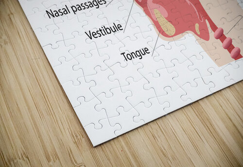 Anatomy of human brain and noise Point Art puzzle