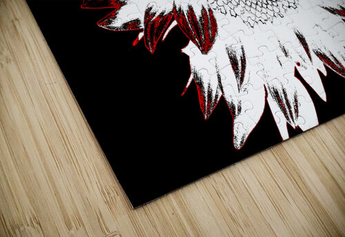 Abstract Contrasting Sunflower Catriona Roberts Nature Photography and Designs puzzle