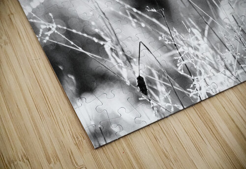  Black and White Nature Bokeh                                                                                                                   Catriona Roberts Nature Photography and Designs puzzle