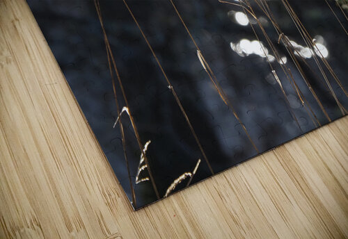  Tranquil Bokeh in the Scottish Highlands                                                                                                                      Catriona Roberts Nature Photography and Designs puzzle