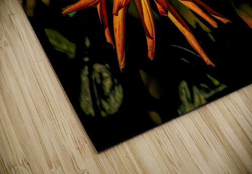Dahlia Fire KenFoster Photography puzzle