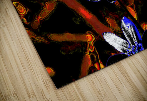  Abstract Floral Delight                                                                                                                     Catriona Roberts Nature Photography and Designs puzzle