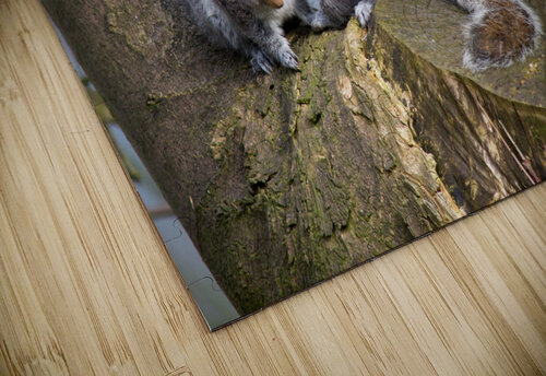 Squirrels In Love Katie Pywell puzzle