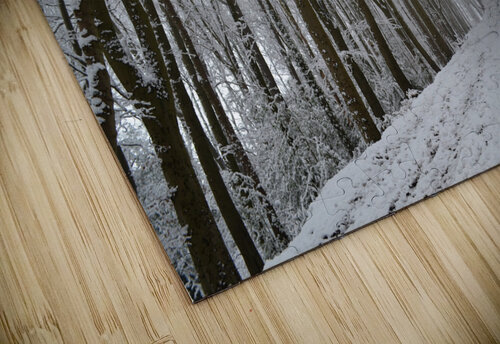 Snowy Belper Woods Katie Pywell puzzle