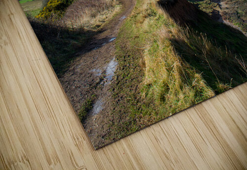 Scalby Cliffs Katie Pywell puzzle