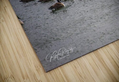 The flock on Cayuga Lake - Lansing NY Joseph Scaglione III puzzle