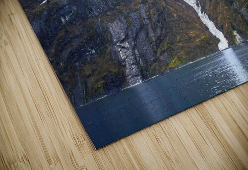 Exploring the Glaciers of Tracy Arm Fjord Ryan Cameron puzzle