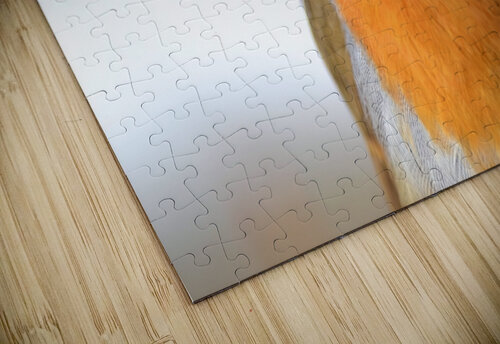 Robin Close Up Katie Pywell puzzle