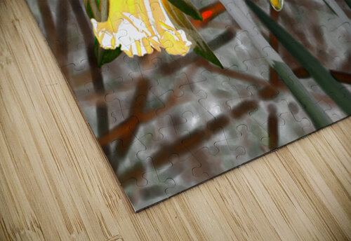   Abstract Glowing Daffodils                                                                                                                    Catriona Roberts Nature Photography and Designs puzzle