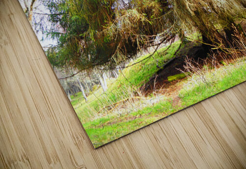  Springtimes Trees in the Scottish Highlands                                                                                                                     Catriona Roberts Nature Photography and Designs puzzle