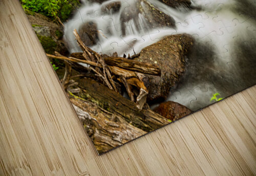 Roosevelt National Forest Stream Bo Insogna puzzle