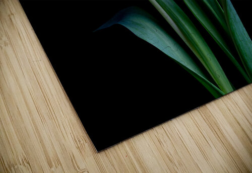 Three Tulips JLW Photos puzzle