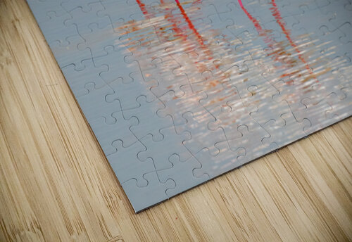 Amboseli Flamingos Dan Hart puzzle