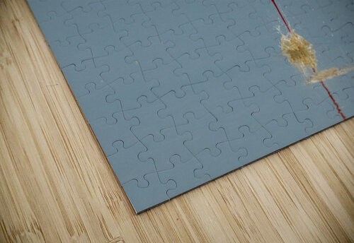 Flamingo Splashdown Dan Hart puzzle