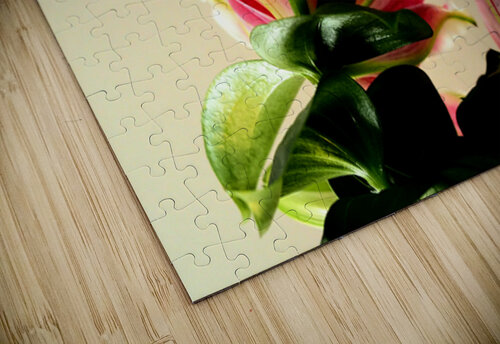   Colourful Lilies                                                                                                    Catriona Roberts Nature Photography and Designs puzzle