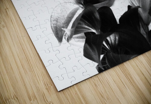  Black and White Lilies                                                                                                                     Catriona Roberts Nature Photography and Designs puzzle