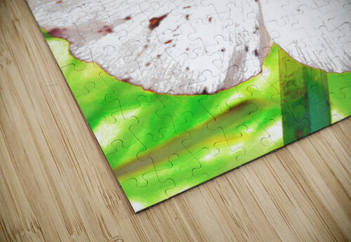 Abstract White Wild Poppy  Catriona Roberts Nature Photography and Designs puzzle