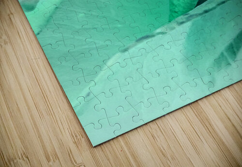 Abstract Calm Rose  Catriona Roberts Nature Photography and Designs puzzle