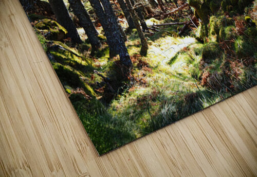   Fairy Dell in the Scottish Highlands                                                                                                                    Catriona Roberts Nature Photography and Designs puzzle