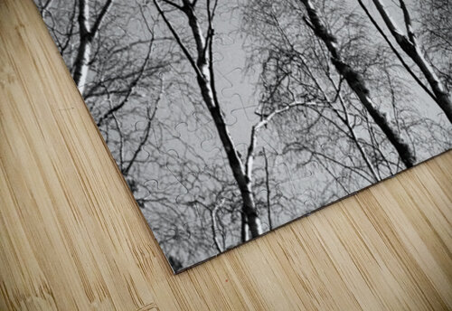  Scottish Highlands Monochrome Trees                                                                                                                    Catriona Roberts Nature Photography and Designs puzzle