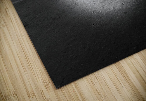 Everyday Lifes Moments- Monochrome Moments Catriona Roberts Nature Photography and Designs puzzle