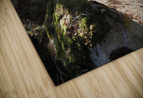   Scottish Highlands Spring Sunlight                                                                                                                    Catriona Roberts Nature Photography and Designs puzzle