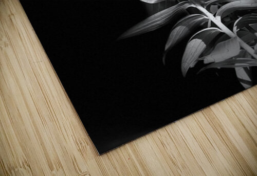 Black and White Lily Flowers Catriona Roberts Nature Photography and Designs puzzle