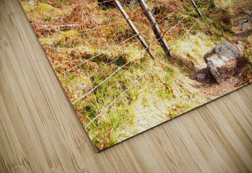 Scottish Highlands Spring Ramble                                                                                                                    Catriona Roberts Nature Photography and Designs puzzle