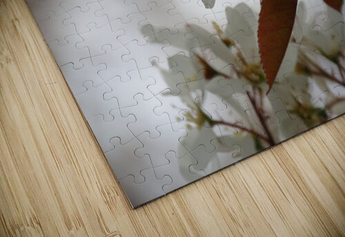 Scottish Highlands Spring Bloom                                                                                                                      Catriona Roberts Nature Photography and Designs puzzle