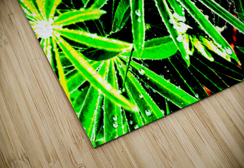 Abstract Lupin Leaves                                                                                                                      Catriona Roberts Nature Photography and Designs puzzle