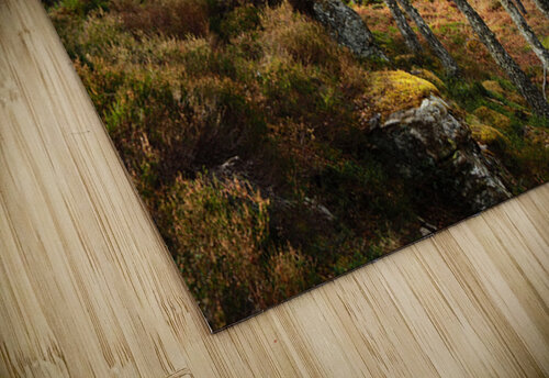 Springs Birch Song for the Scottish Highlands                                                                                                                      Catriona Roberts Nature Photography and Designs puzzle